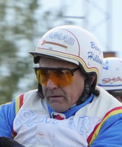 Bild: Bengt Hillesö