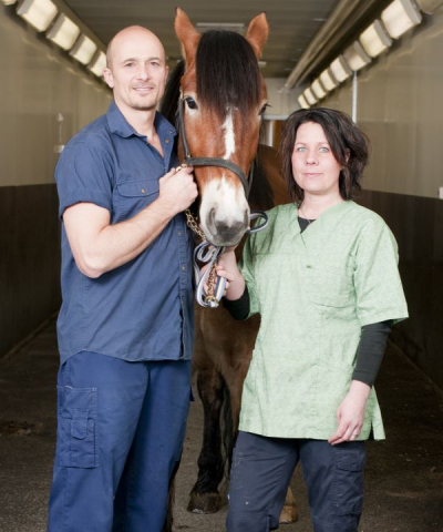 Bild: Hästkliniken Romme